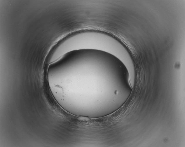 X0000116880488201001121326