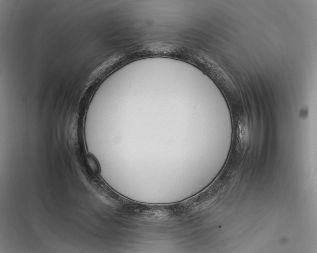 X0000116880492201001121325