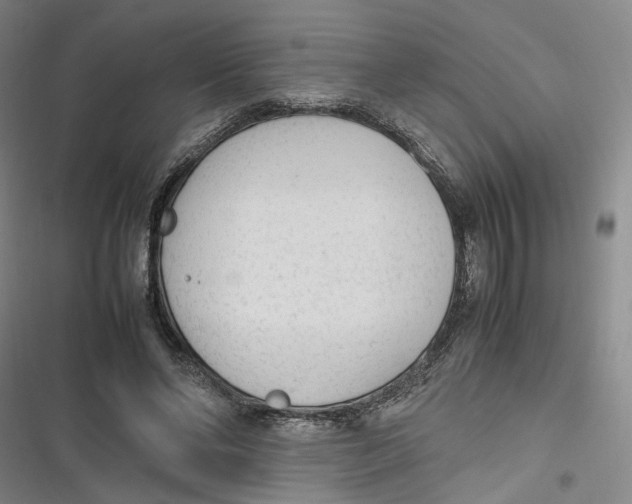 X0000116880494201001121325