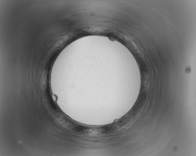 X0000116880495201001121325