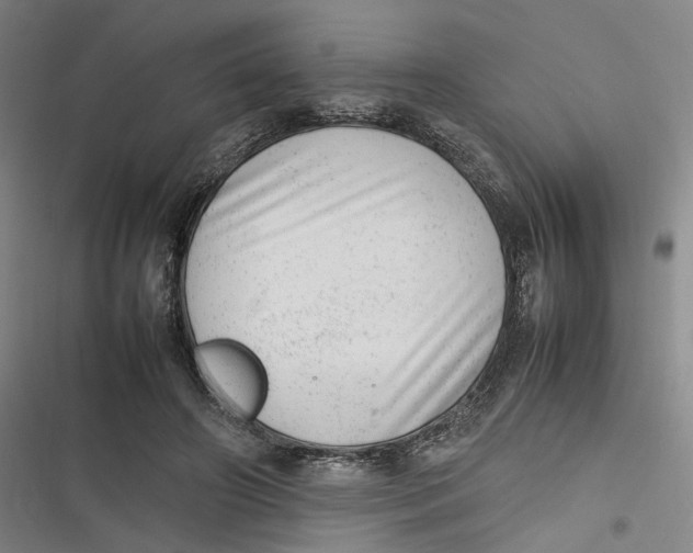 X0000116880498201001121325