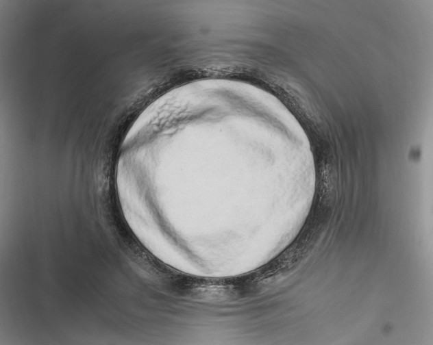 X0000116880499201001121325