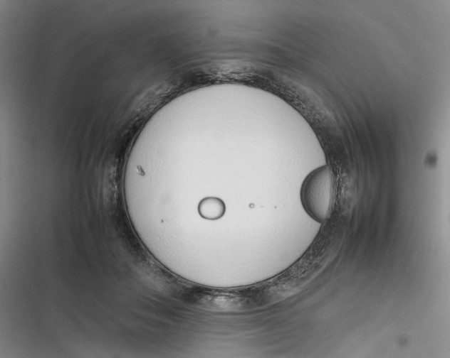 X0000116880506201001121325