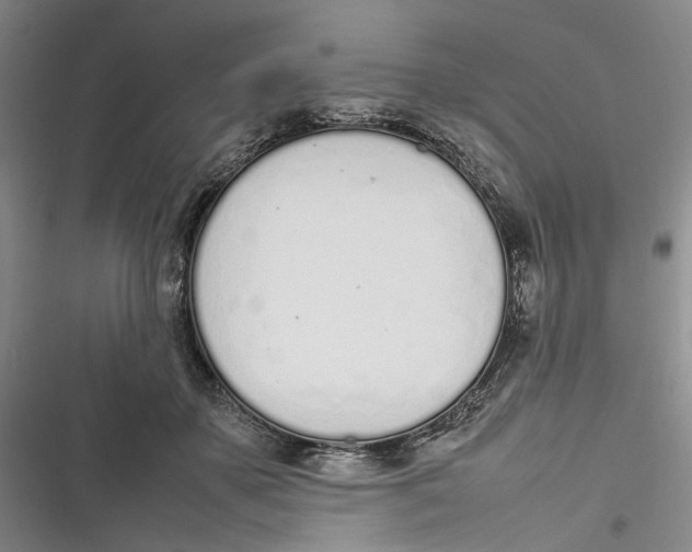 X0000116880507201001121325