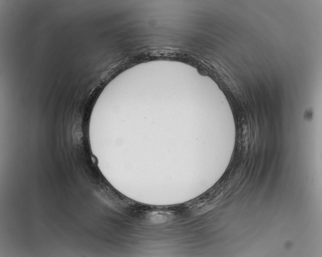 X0000116880508201001121325