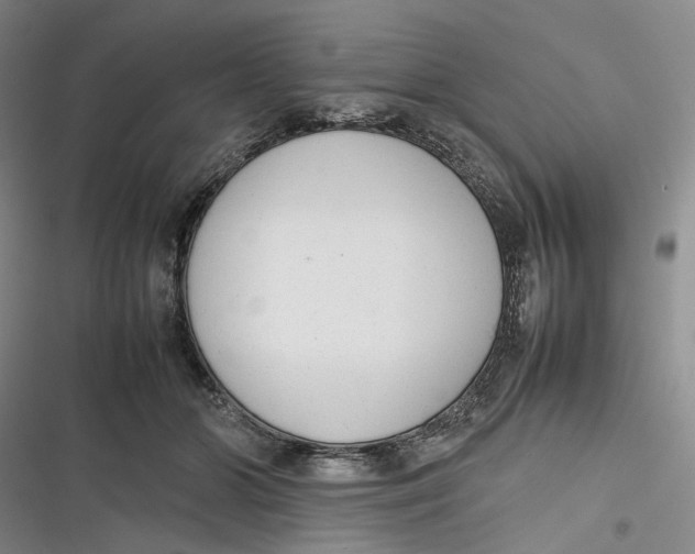 X0000116880510201001121325