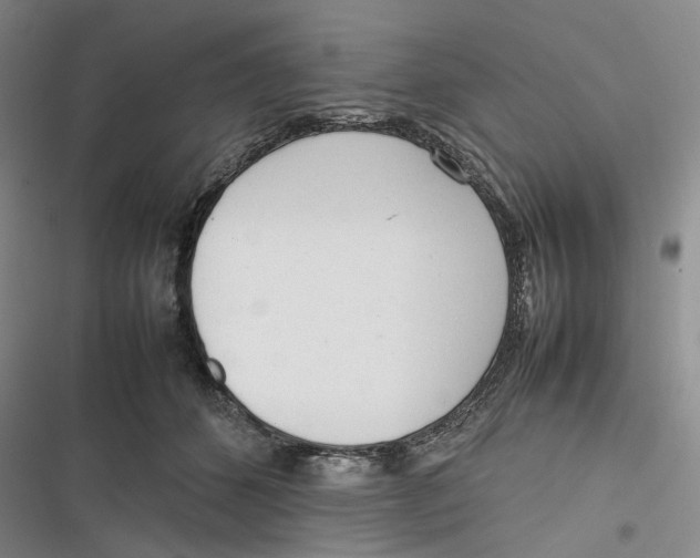X0000116880512201001121325