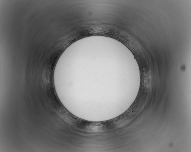 X0000116880514201001121325