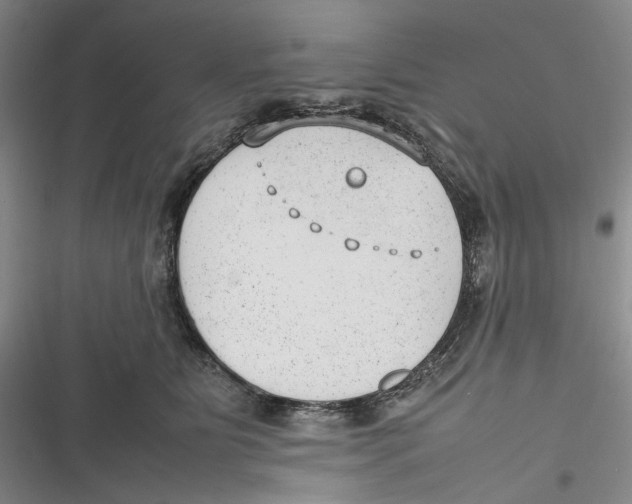 X0000116880515201001121325