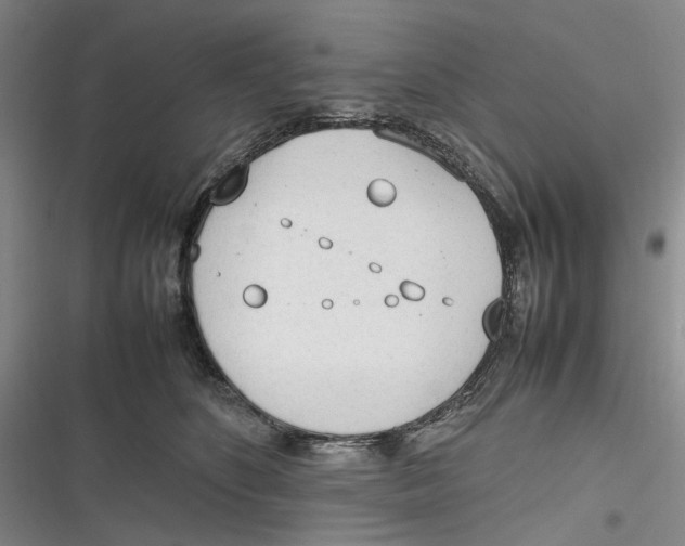 X0000116880516201001121325