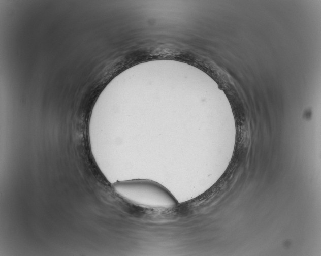 X0000116880517201001121325