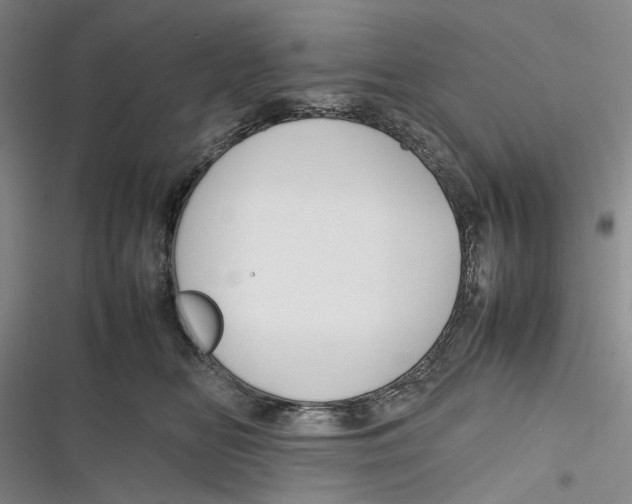 X0000116880518201001121325