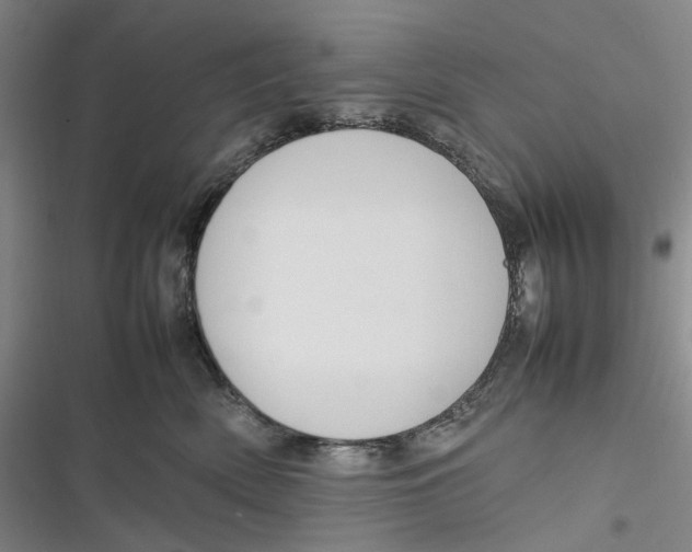 X0000116880522201001121325