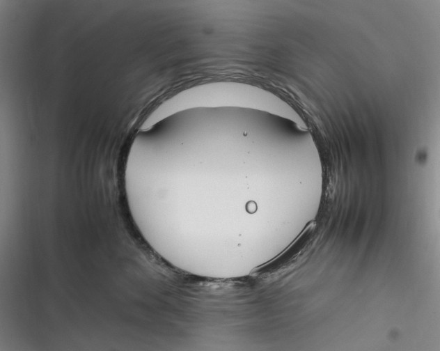 X0000116880524201001121325