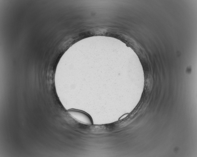X0000116880525201001121325
