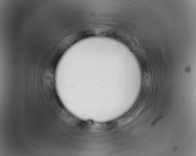 X0000116880527201001121325