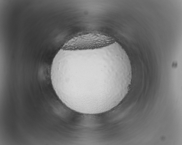 X0000116880528201001121325