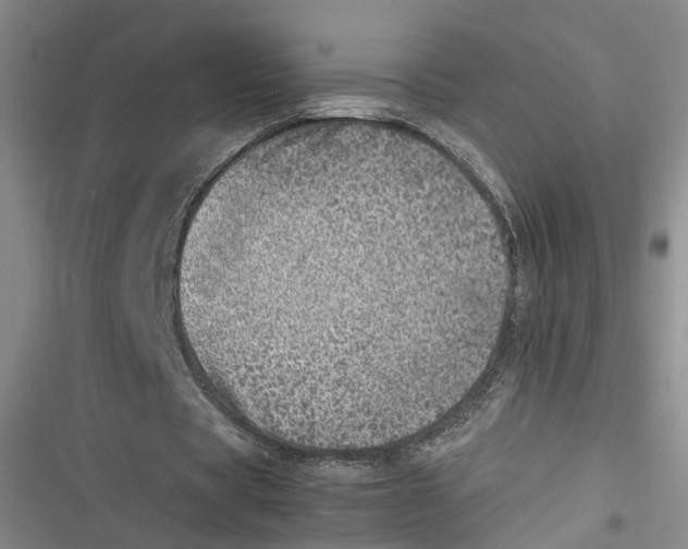 X0000116880529201001121324