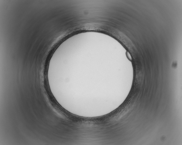 X0000116880530201001121324