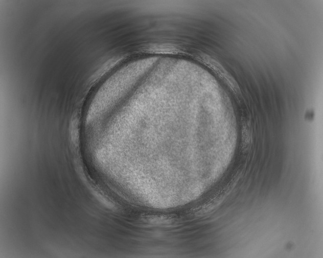 X0000116880533201001121324