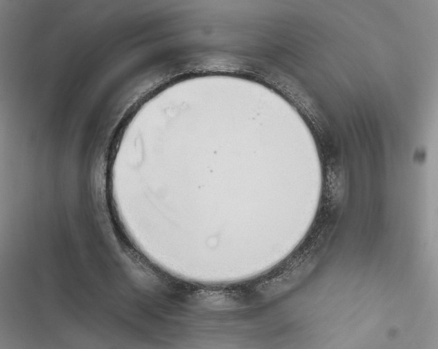X0000116880534201001121324