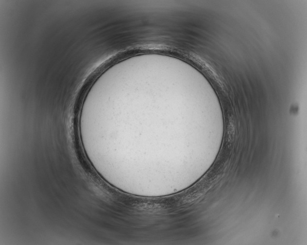 X0000116880535201001121324