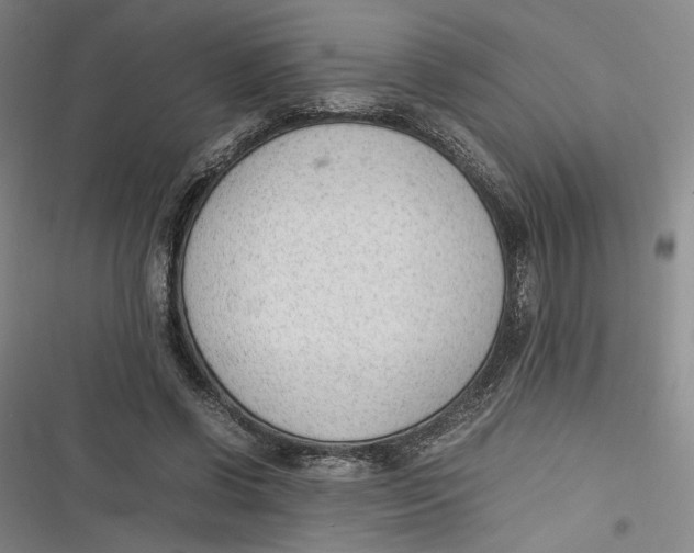 X0000116880542201001121324