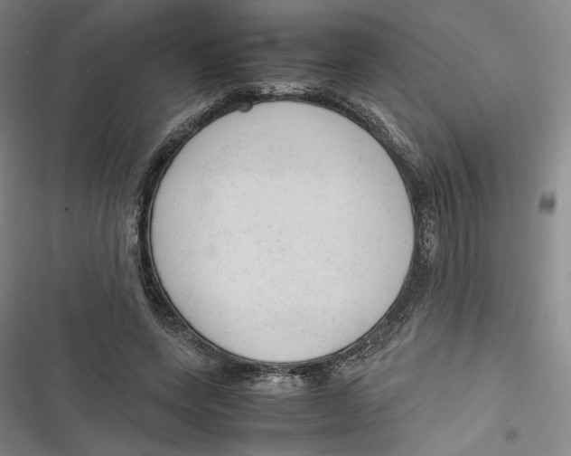 X0000116880543201001121324