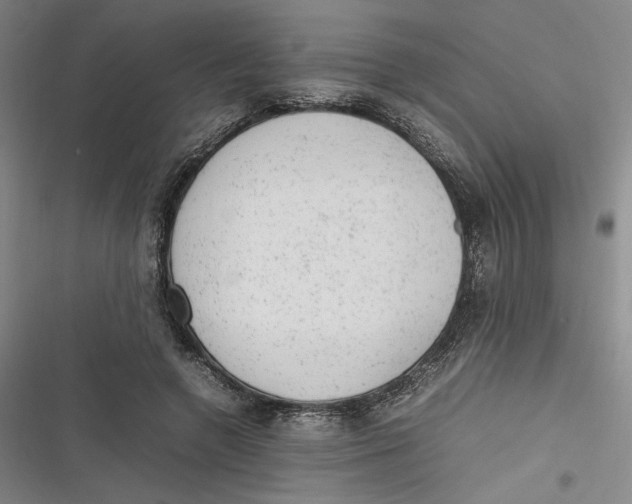 X0000116880546201001121325