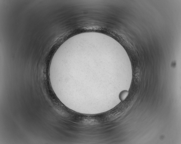 X0000116880547201001121325
