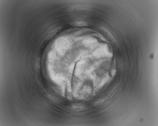 X0000116880549201001121325