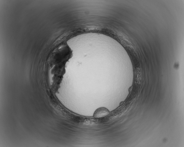 X0000116880550201001121325