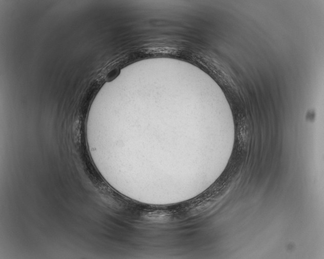 X0000116880551201001121325