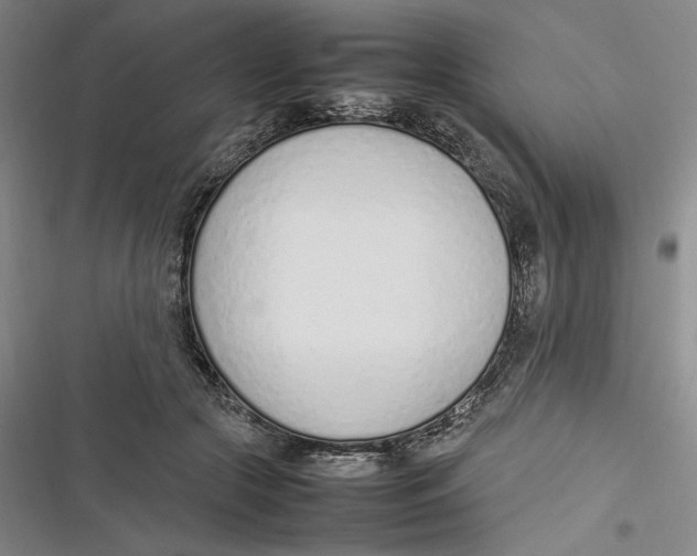 X0000116880553201001121325