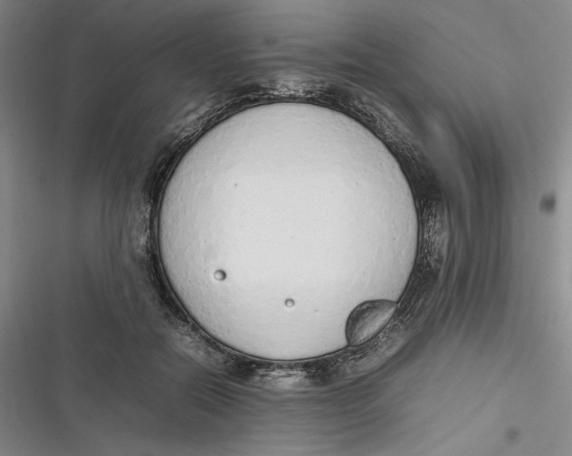 X0000116880554201001121325