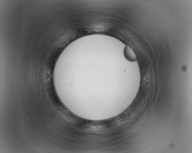 X0000116880555201001121325