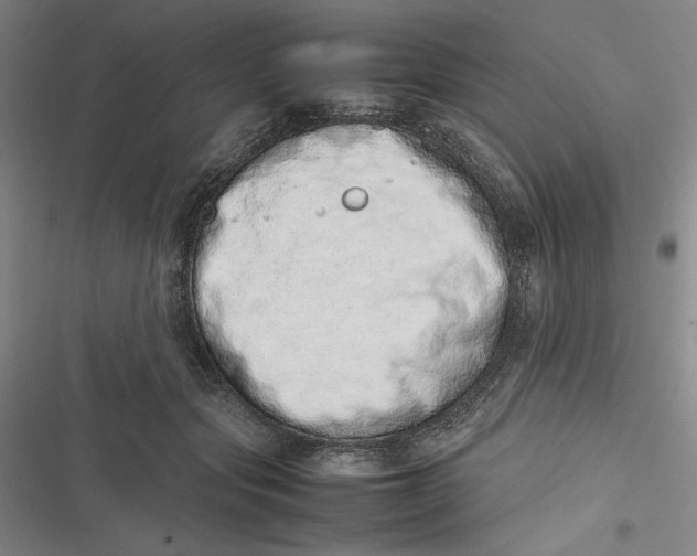 X0000116880557201001121325