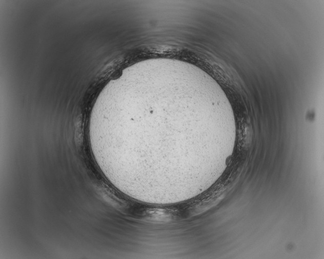 X0000116880558201001121325