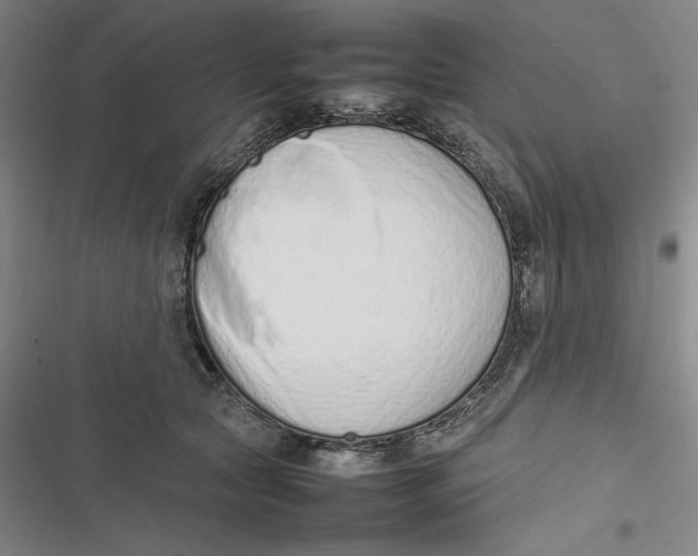 X0000116880561201001121325