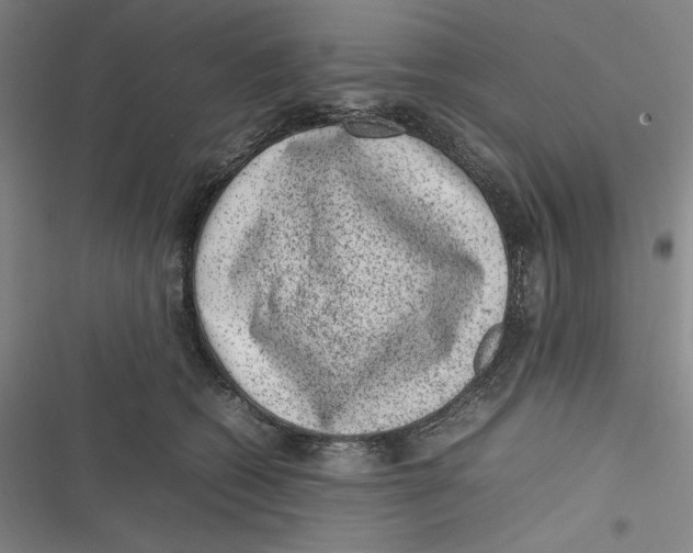 X0000116880562201001121325