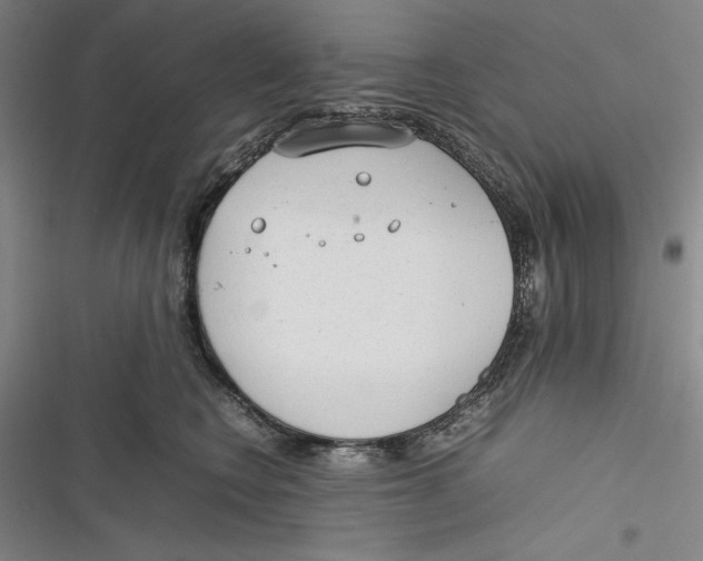 X0000116880566201001121325
