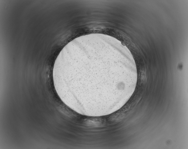 X0000116880567201001121325