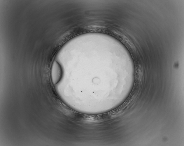 X0000116880569201001121325