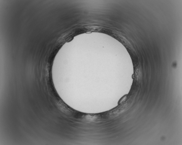 X0000116880570201001121325