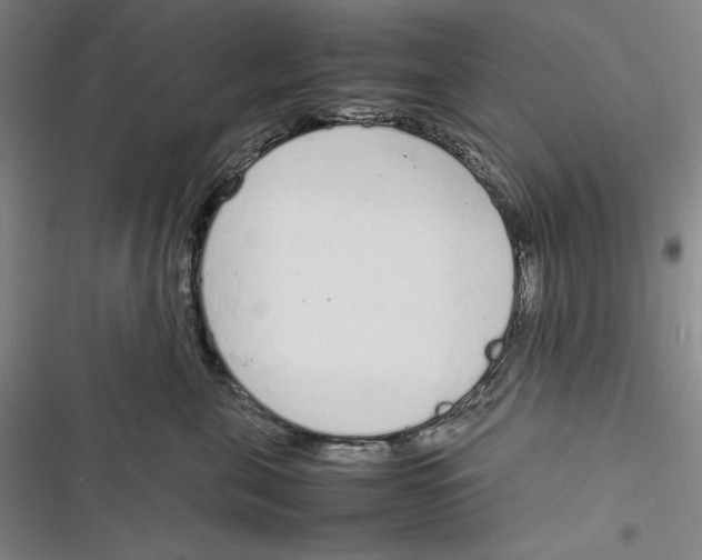 X0000116880571201001121325