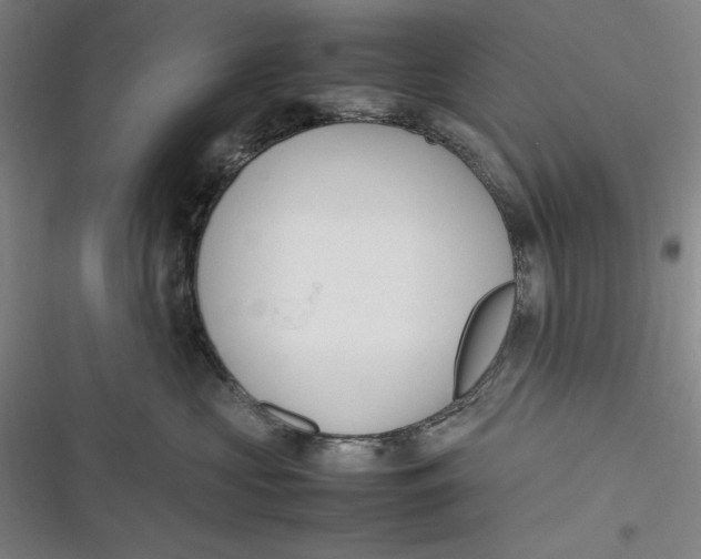 X0000116880573201001121325
