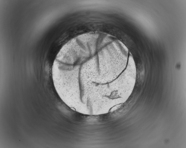 X0000116880574201001121325