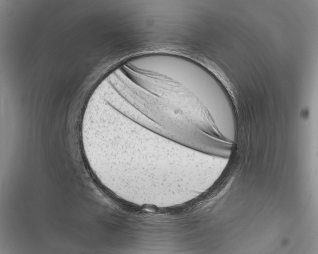 X0000116880577201001121324