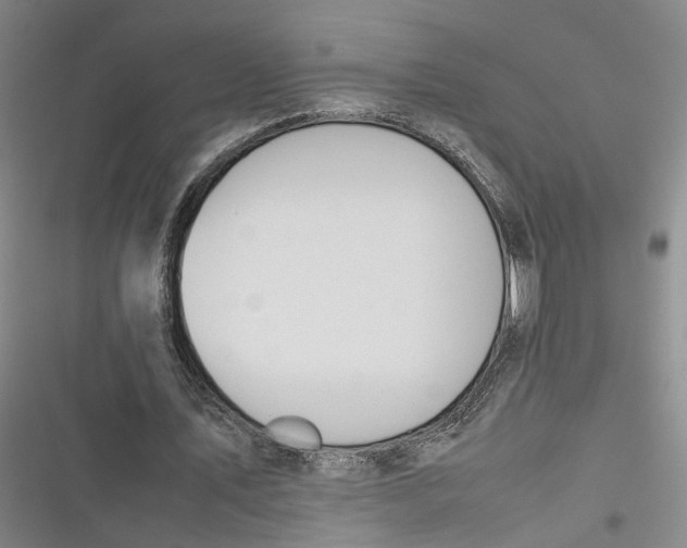 X0000116880579201001121324
