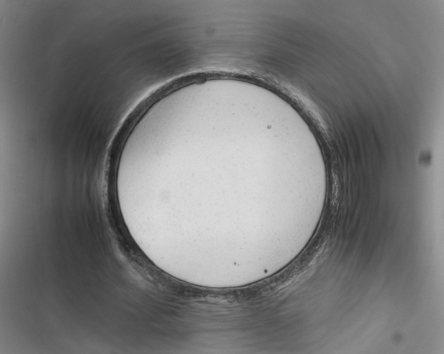 X0000116880580201001121324